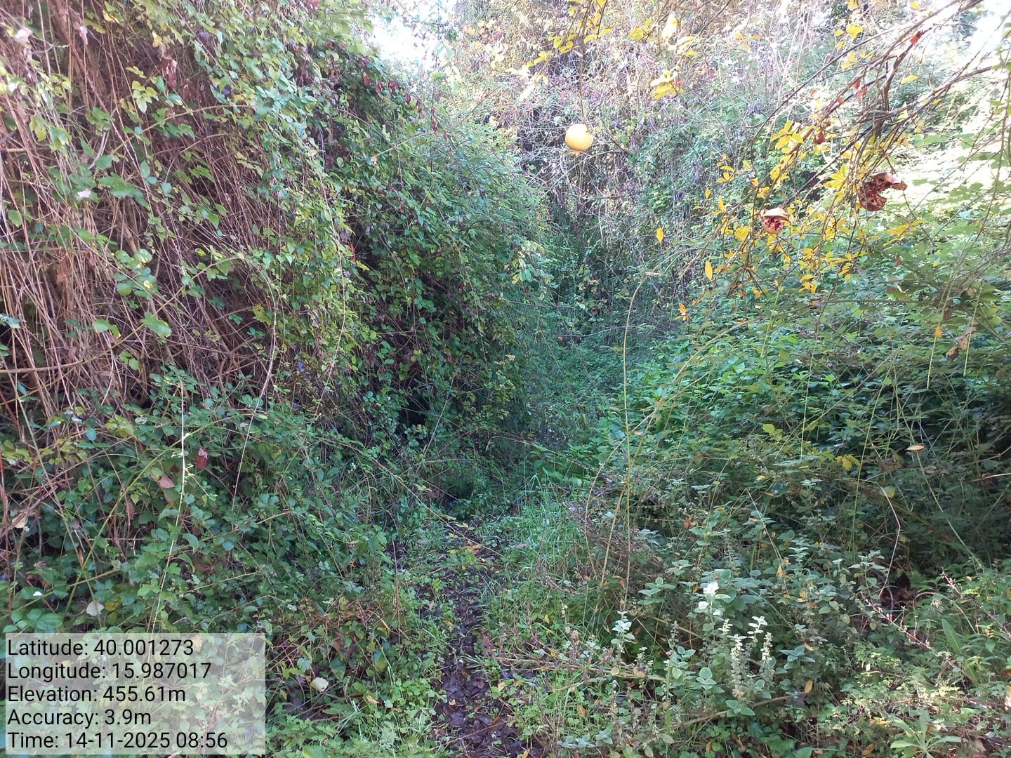 Galleria Fotografica Immagine