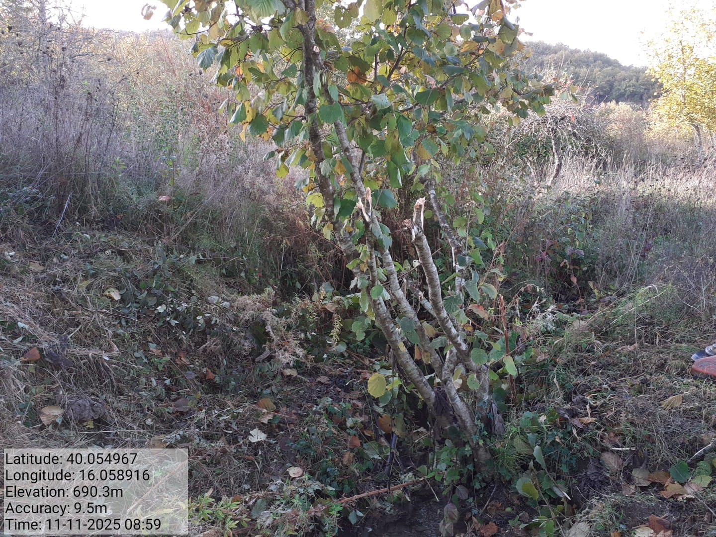 Galleria Fotografica Immagine