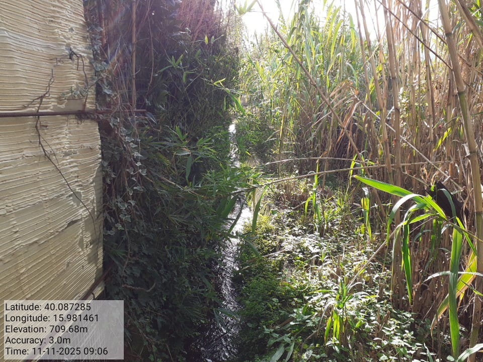 Galleria Fotografica Immagine