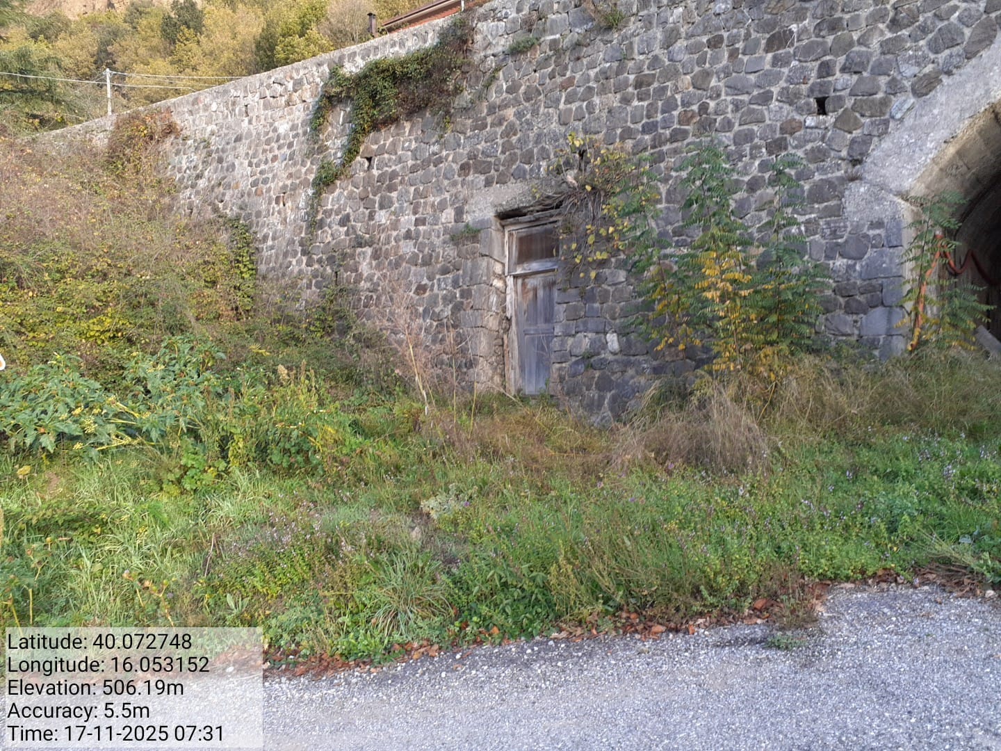 Galleria Fotografica Immagine