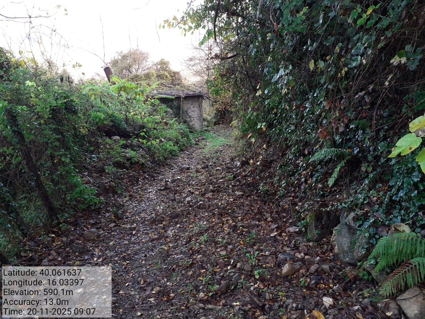 Galleria Fotografica Immagine