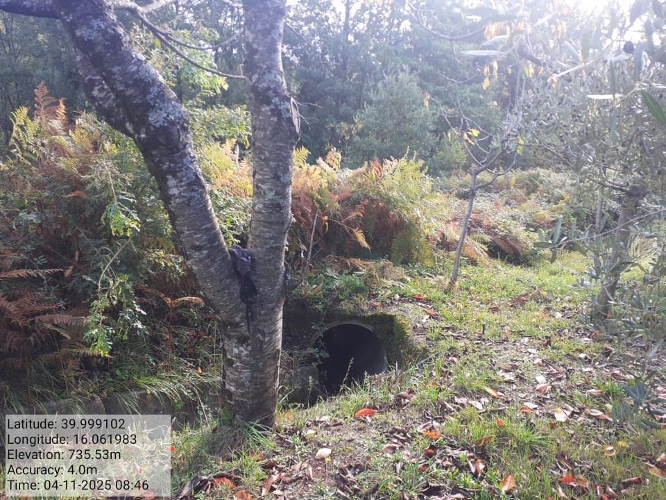 Galleria Fotografica Immagine