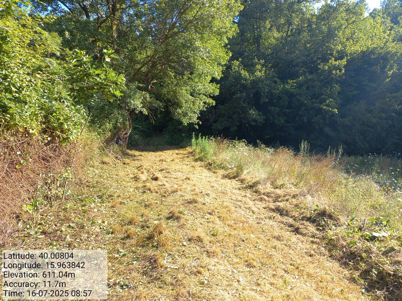 Galleria Fotografica Immagine