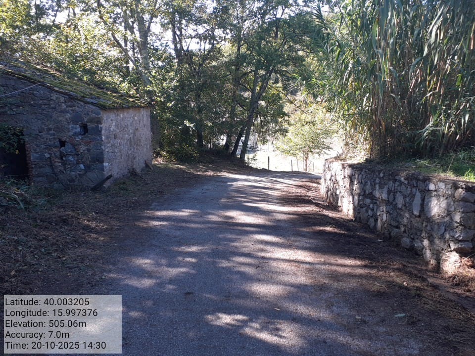 Galleria Fotografica Immagine