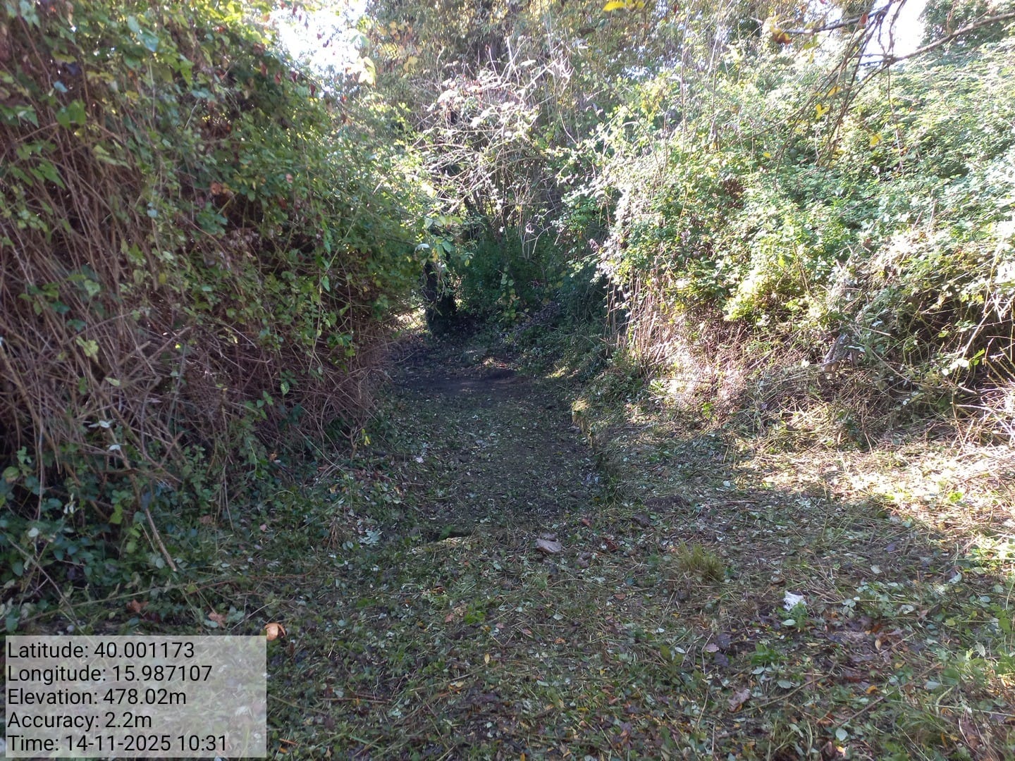 Galleria Fotografica Immagine