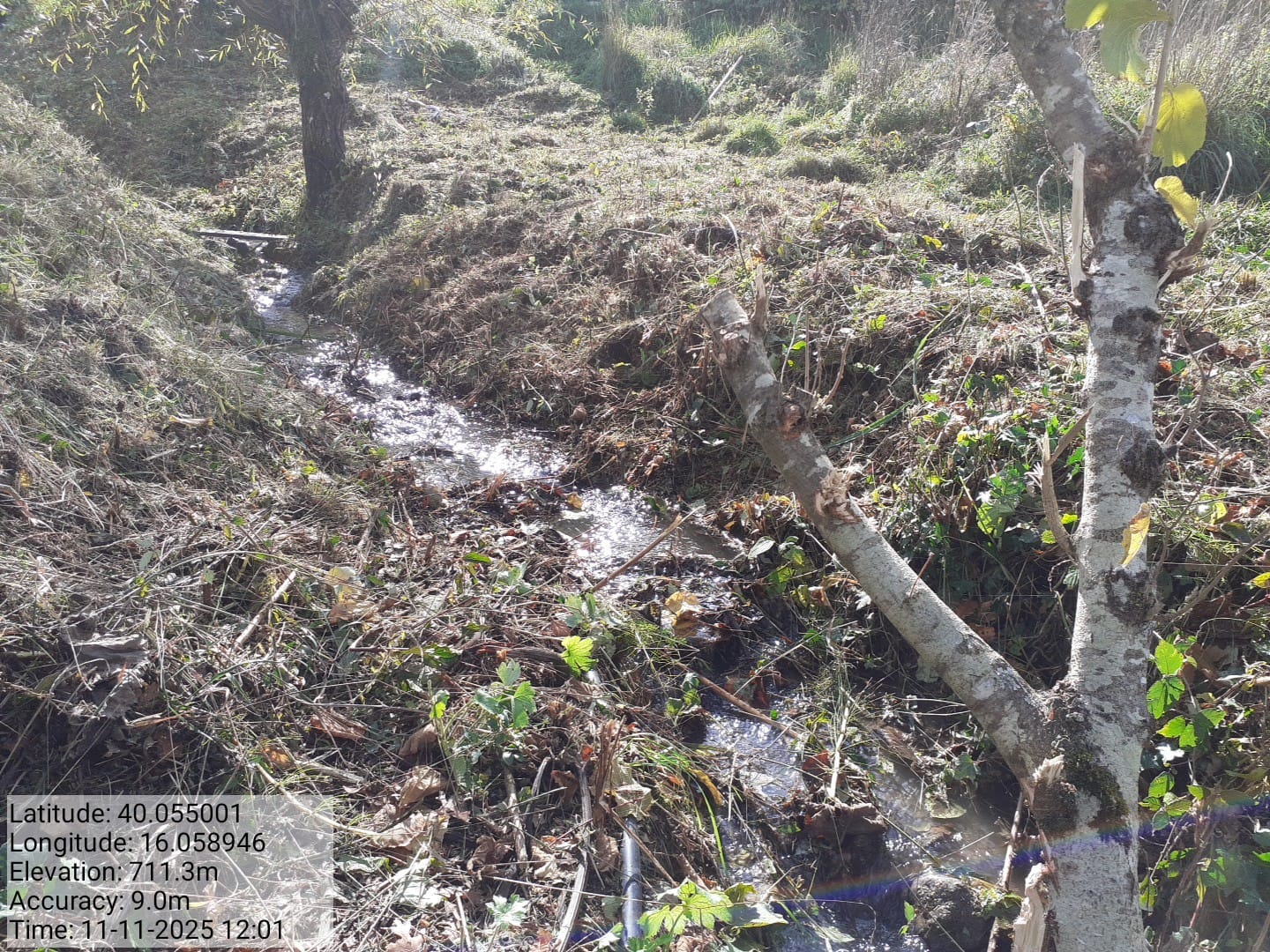 Galleria Fotografica Immagine