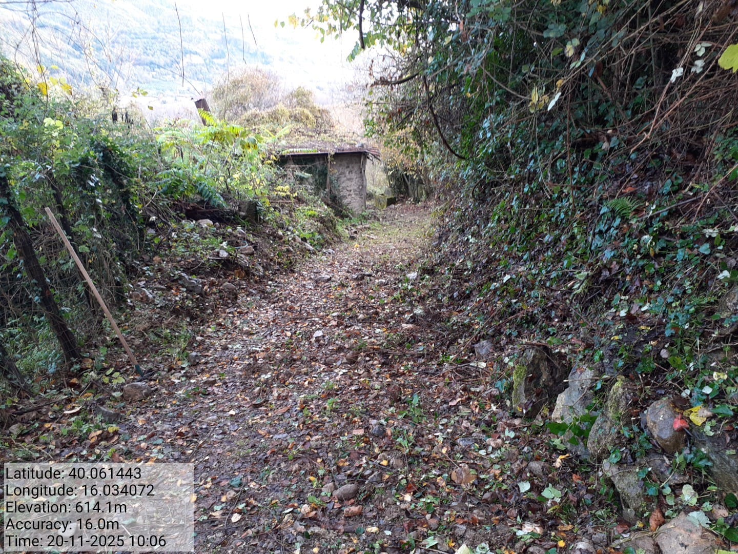 Galleria Fotografica Immagine