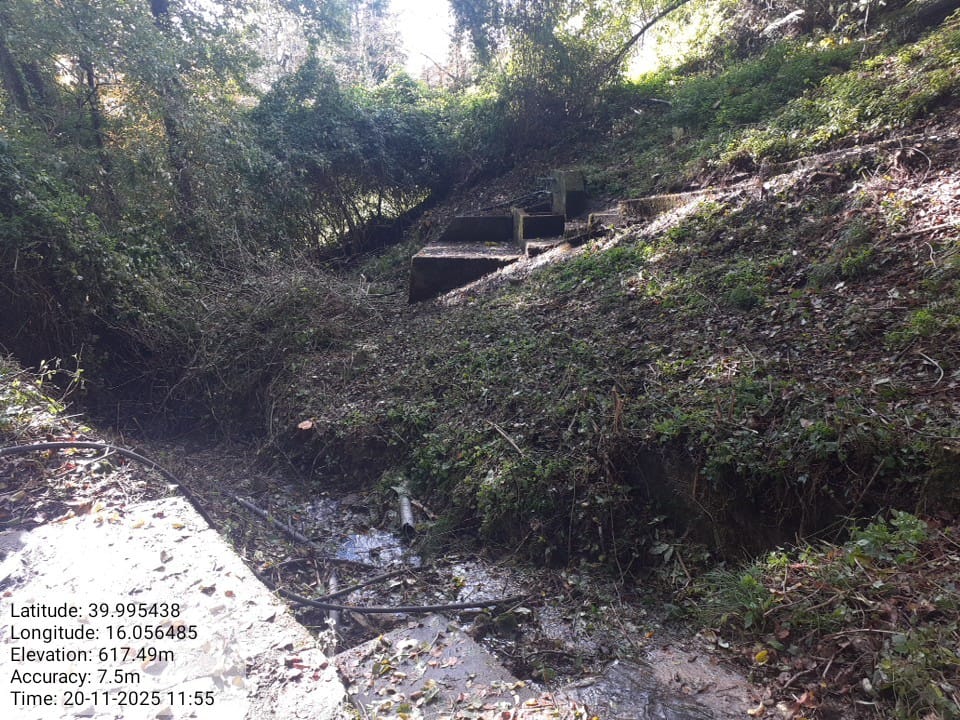 Galleria Fotografica Immagine