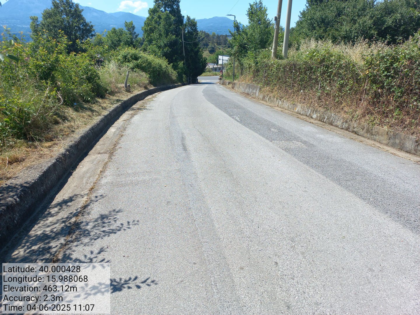 Galleria Fotografica Immagine