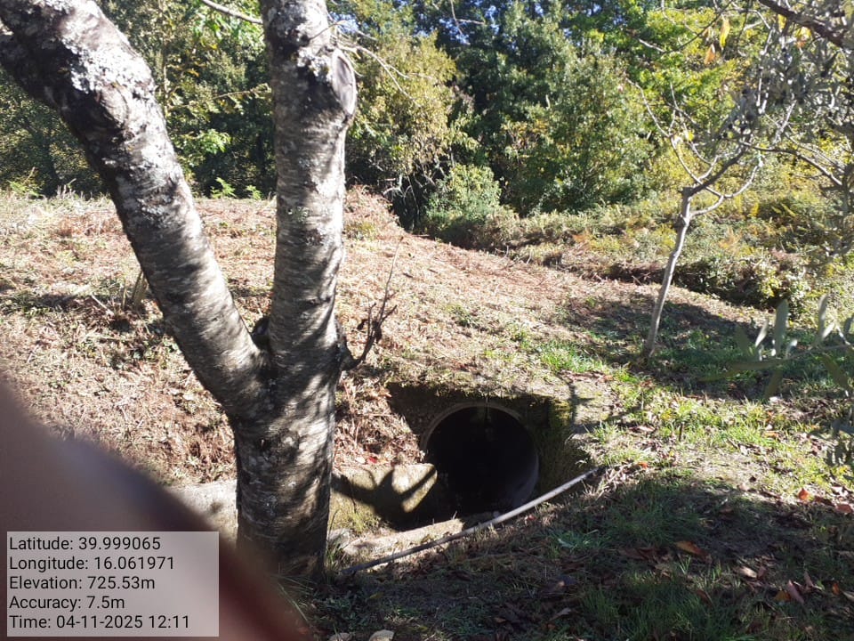 Galleria Fotografica Immagine