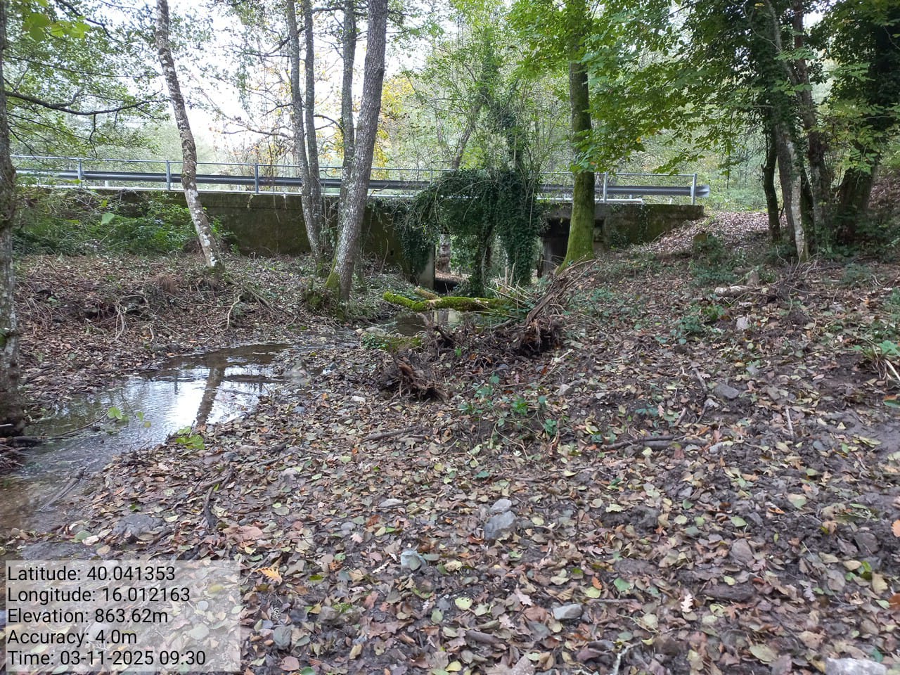 Galleria Fotografica Immagine