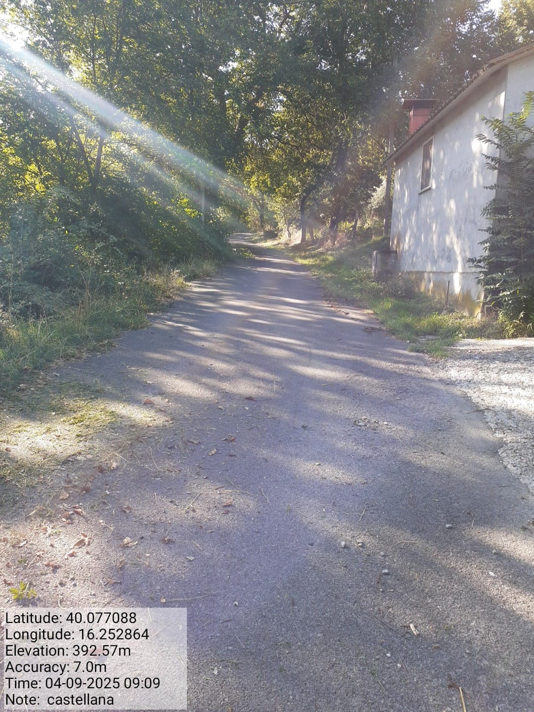 Galleria Fotografica Immagine