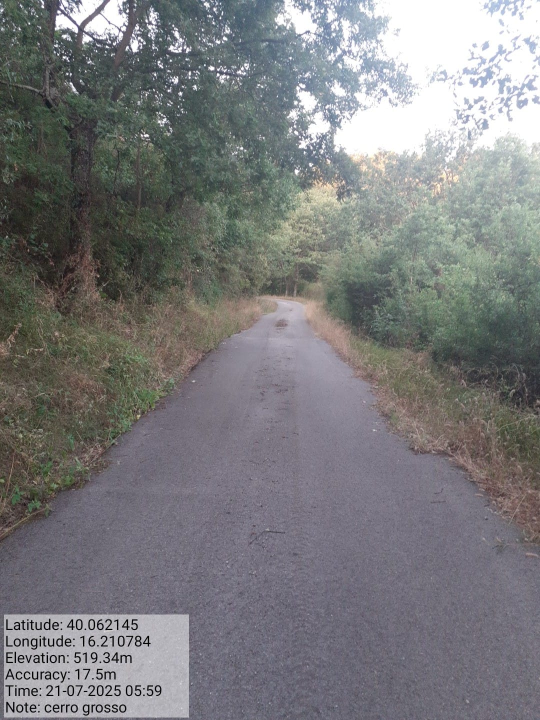 Galleria Fotografica Immagine