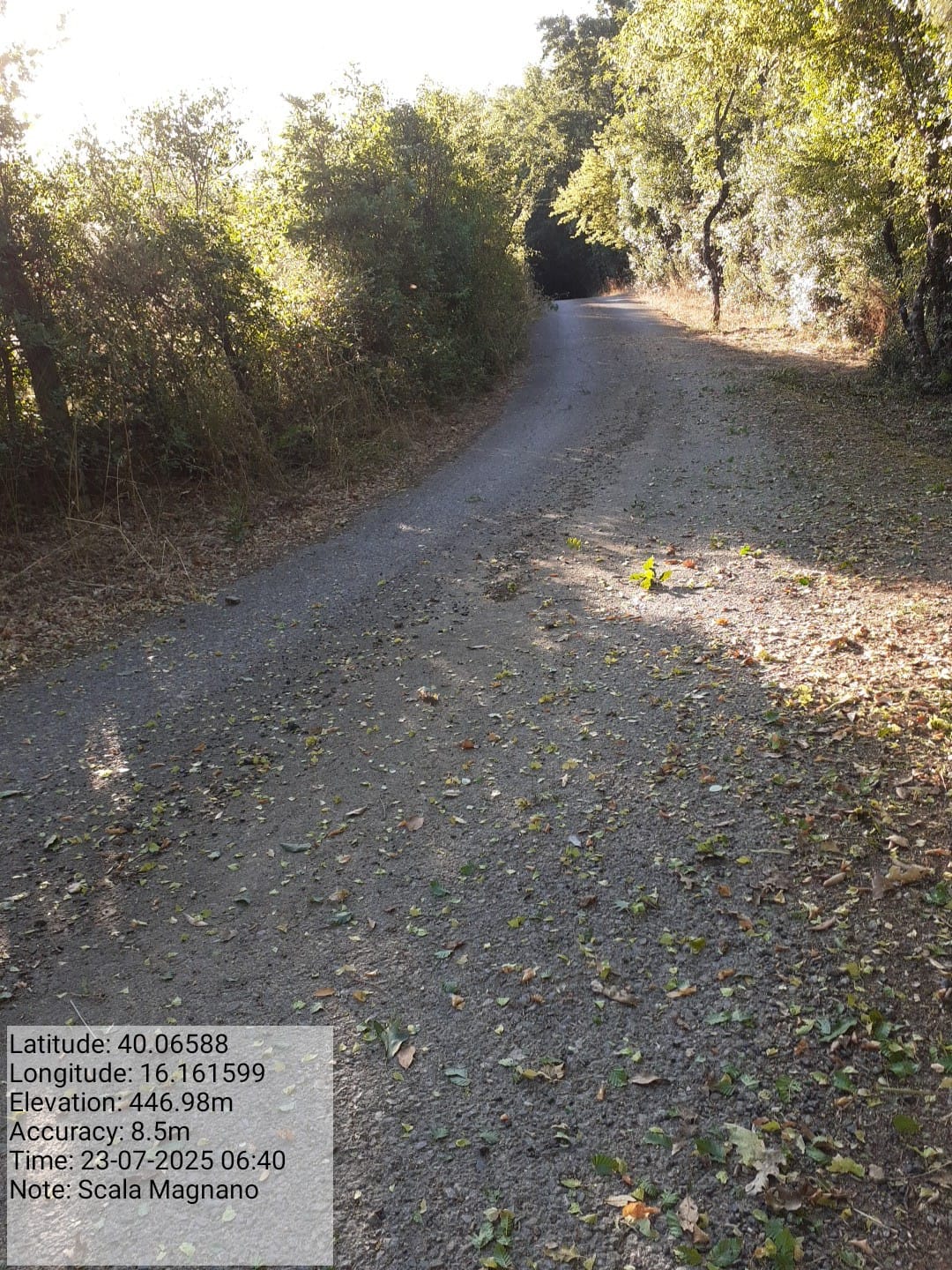 Galleria Fotografica Immagine