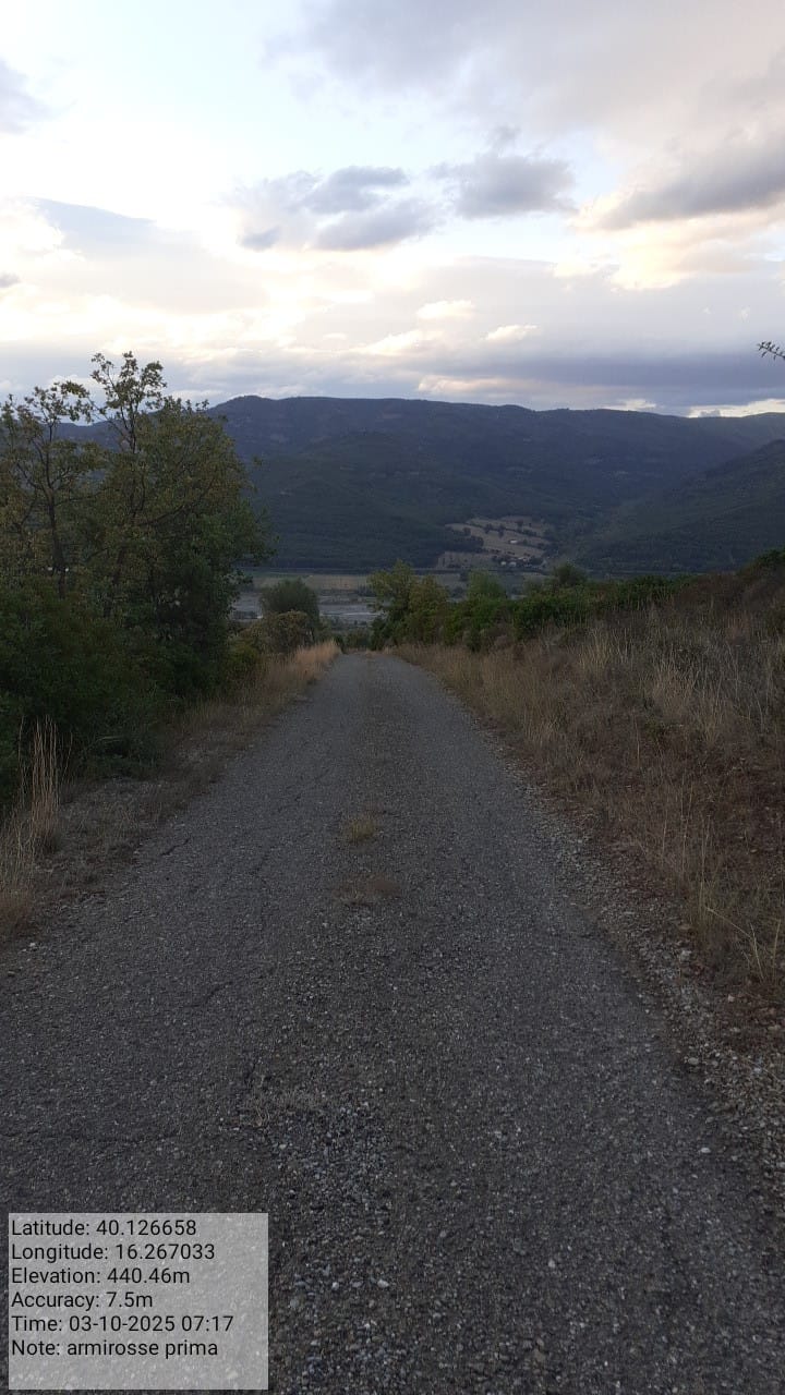 Galleria Fotografica Immagine