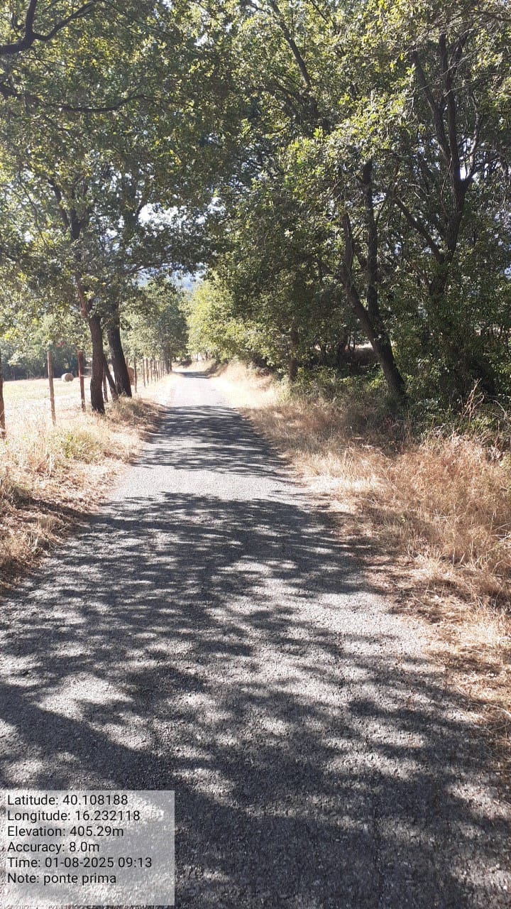 Galleria Fotografica Immagine