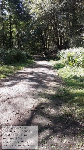 Galleria Fotografica Immagine