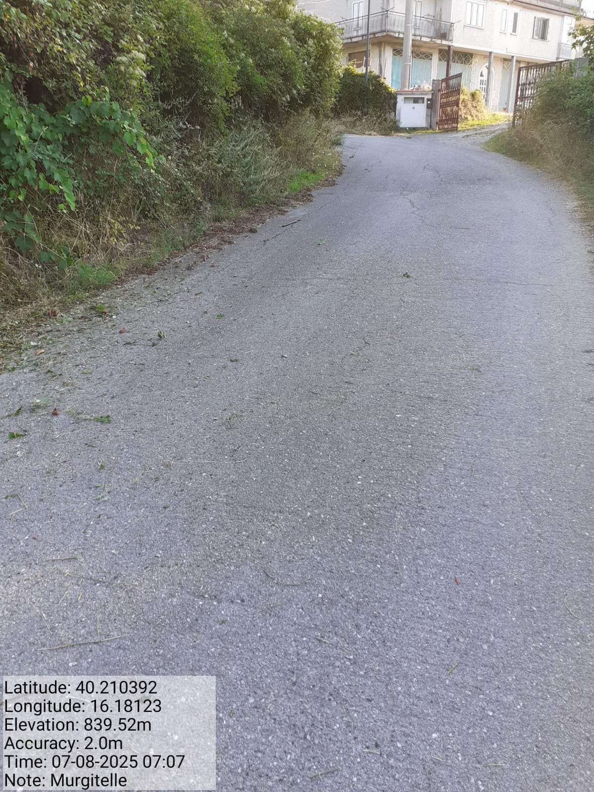 Galleria Fotografica Immagine