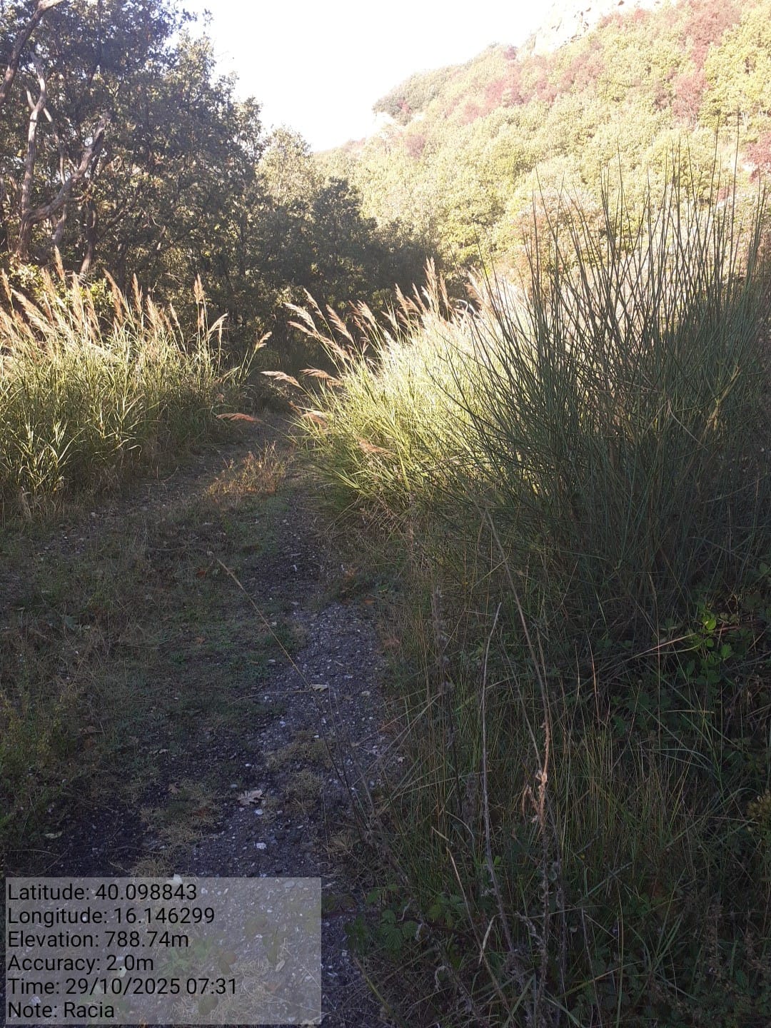 Galleria Fotografica Immagine