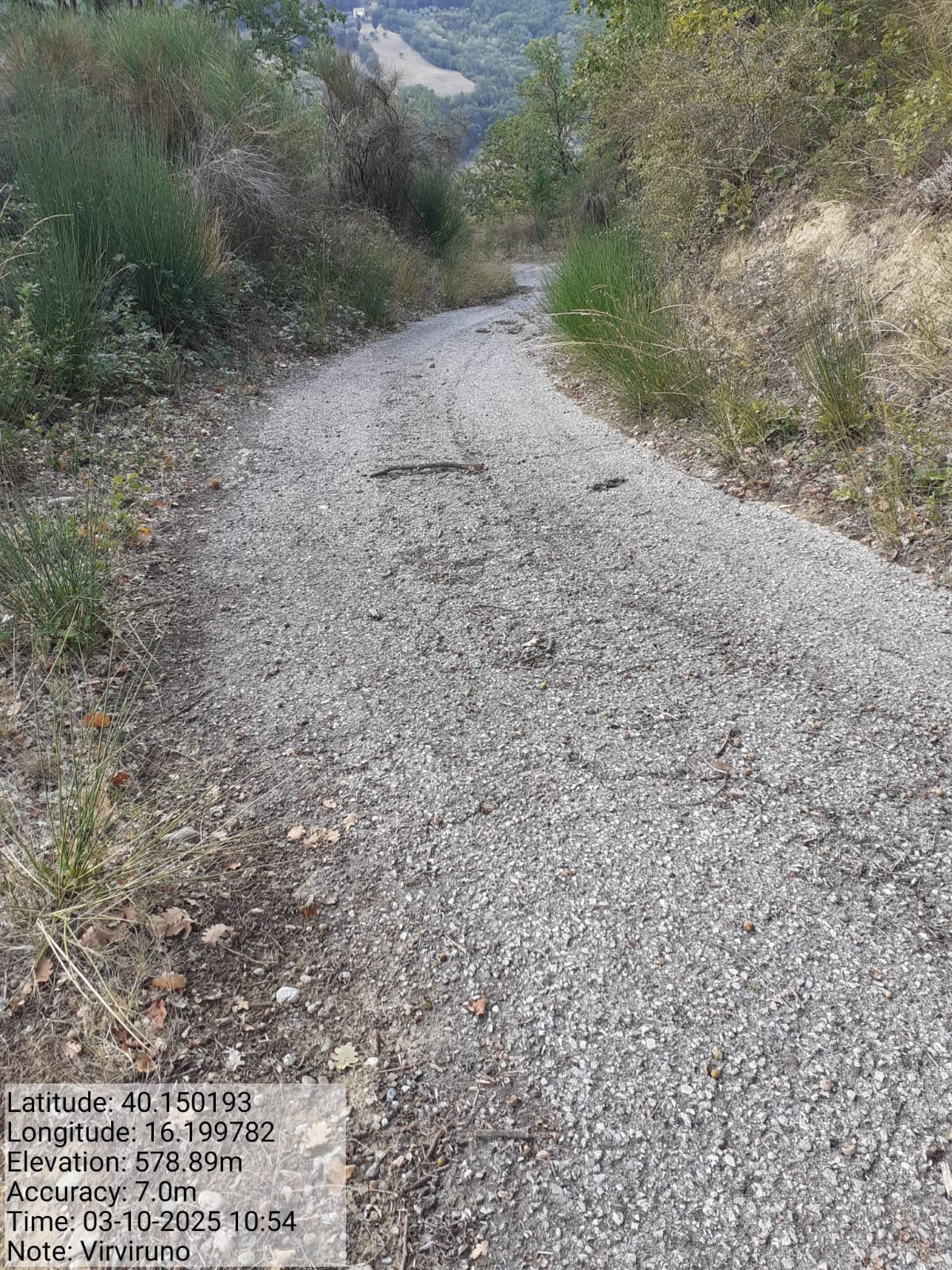 Galleria Fotografica Immagine