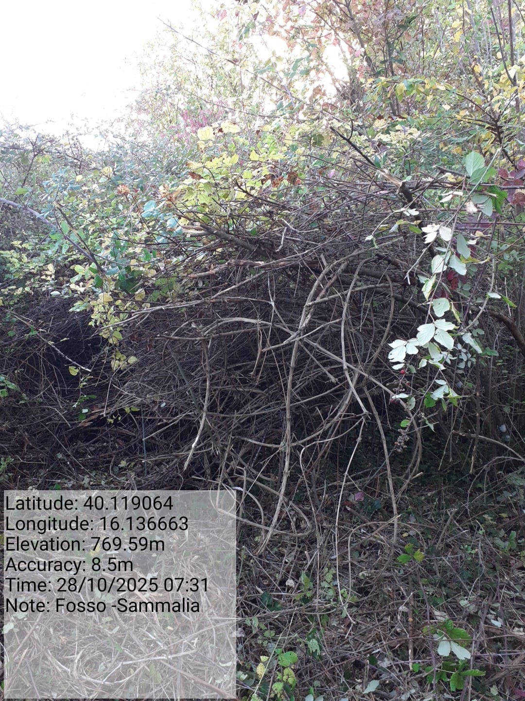 Galleria Fotografica Immagine