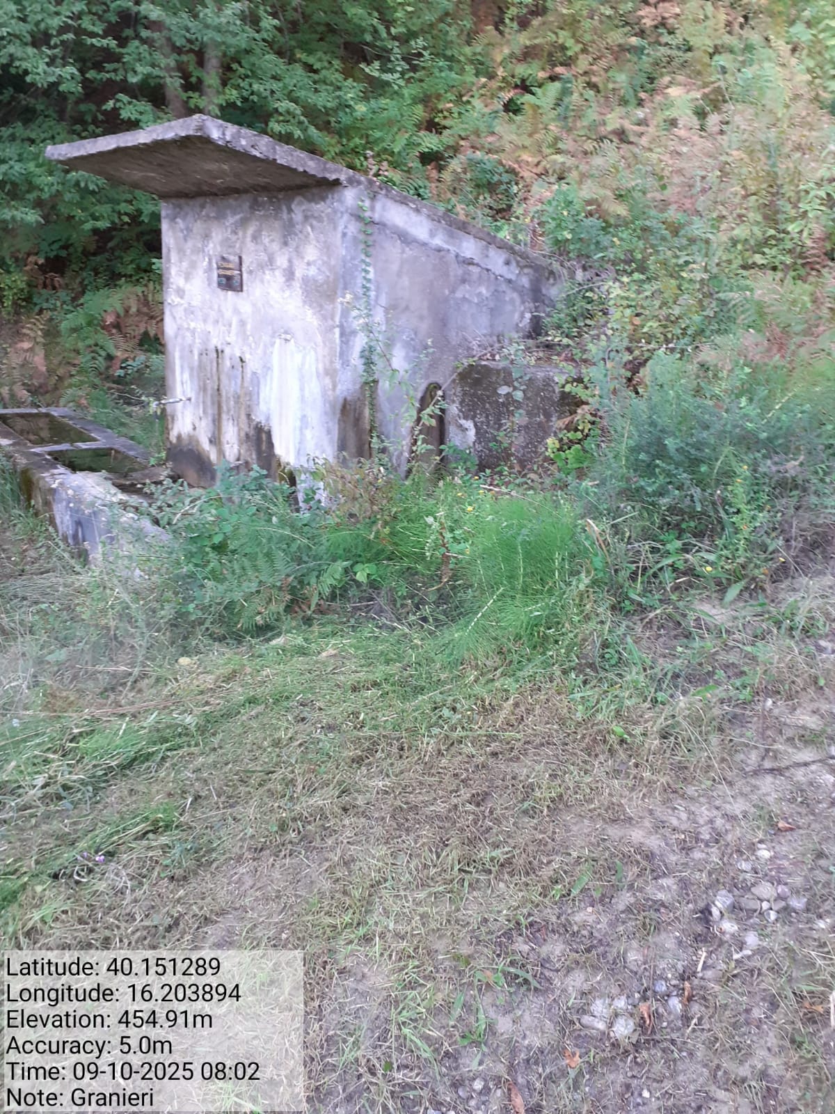 Galleria Fotografica Immagine