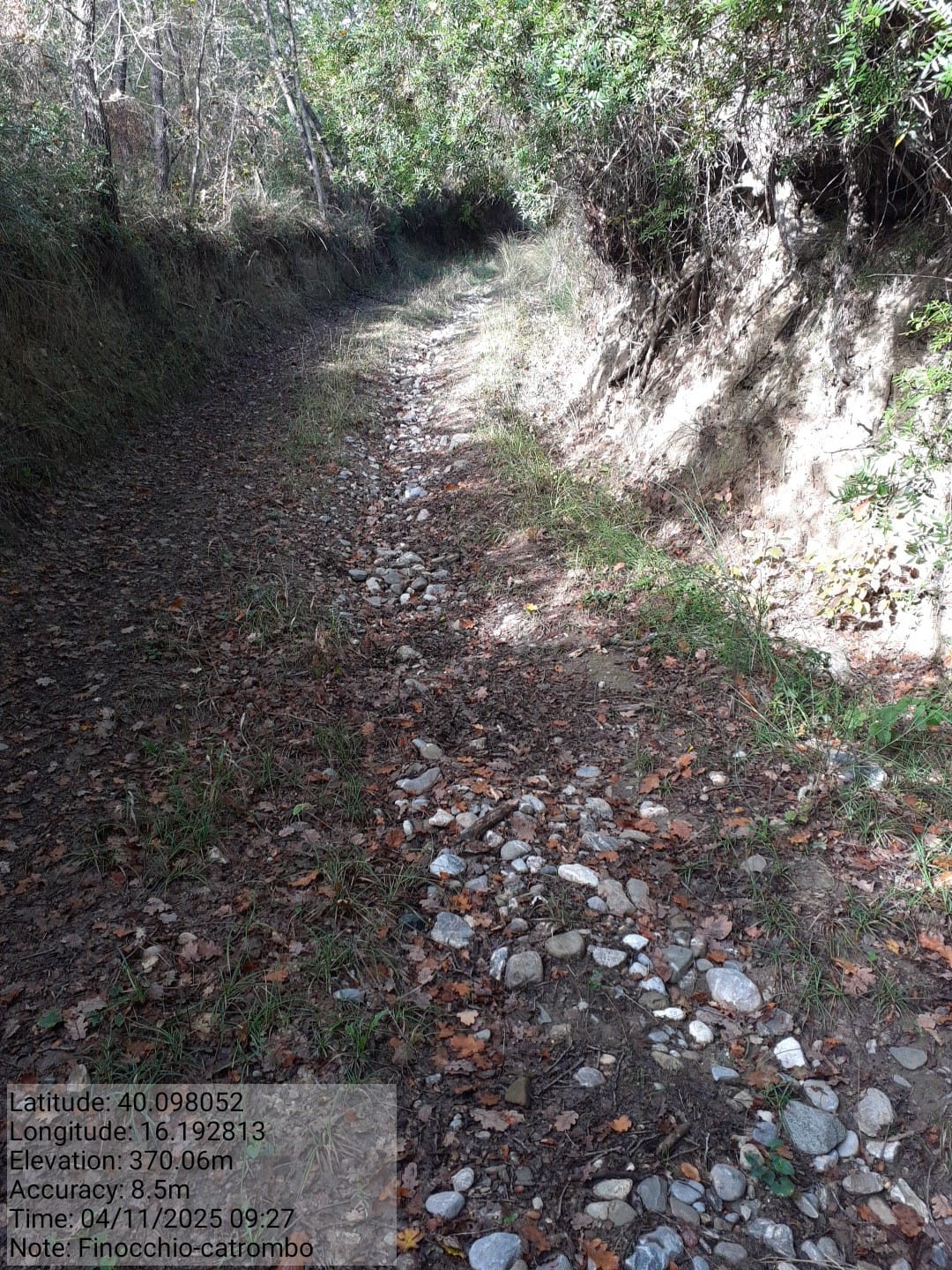 Galleria Fotografica Immagine