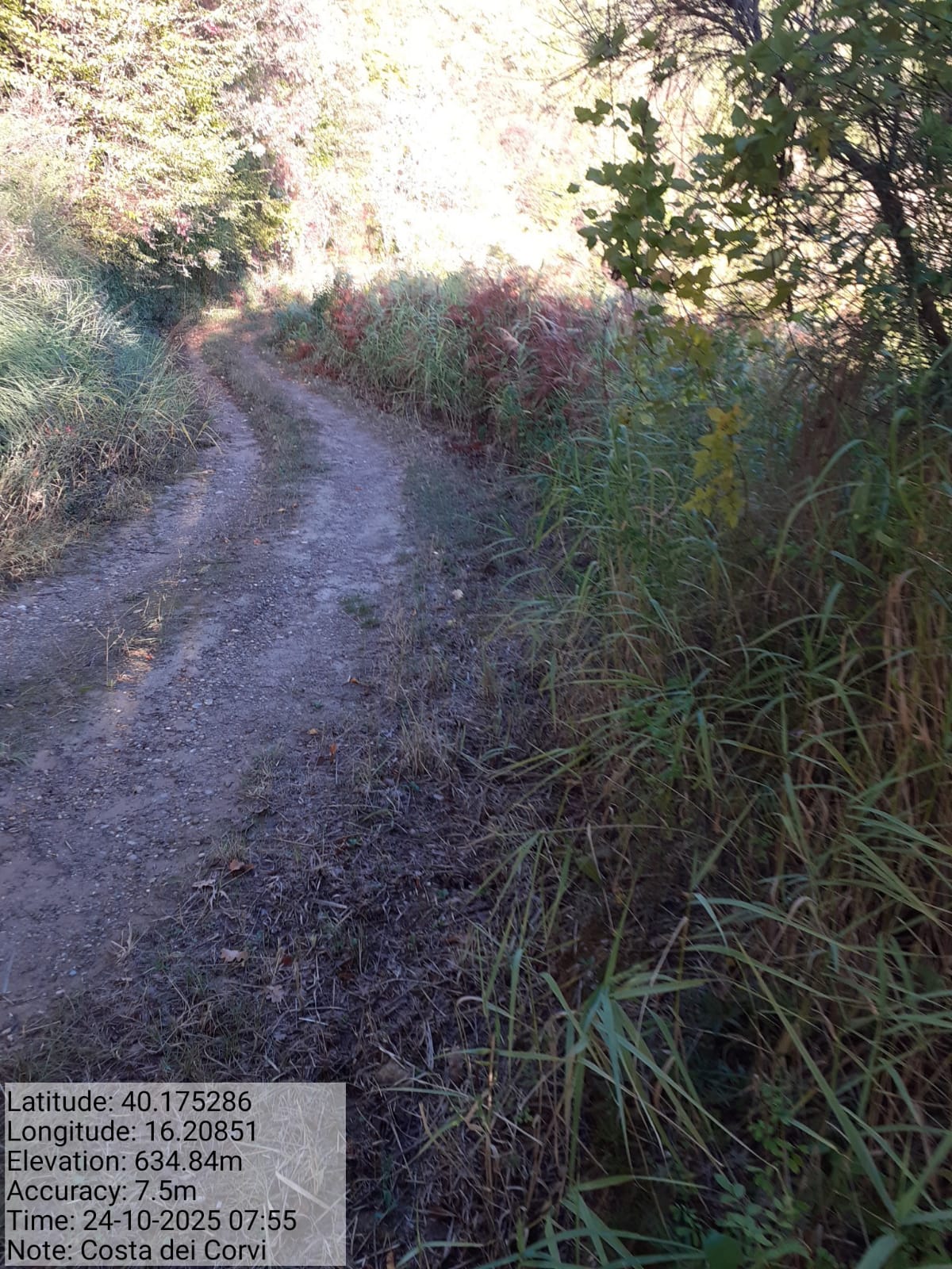 Galleria Fotografica Immagine