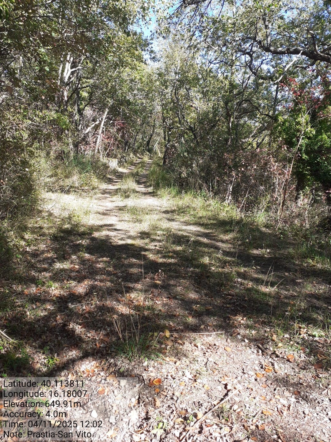 Galleria Fotografica Immagine