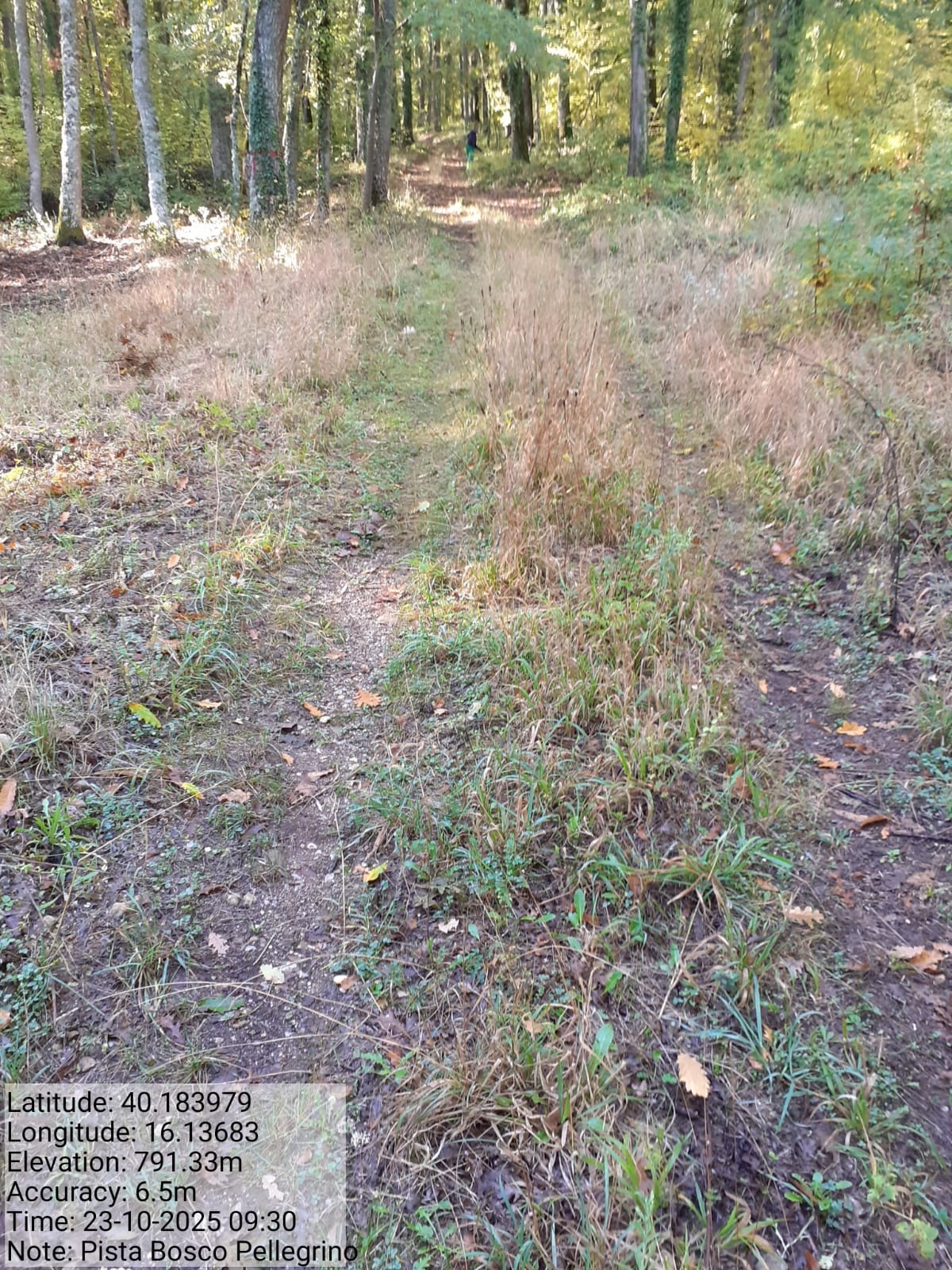 Galleria Fotografica Immagine