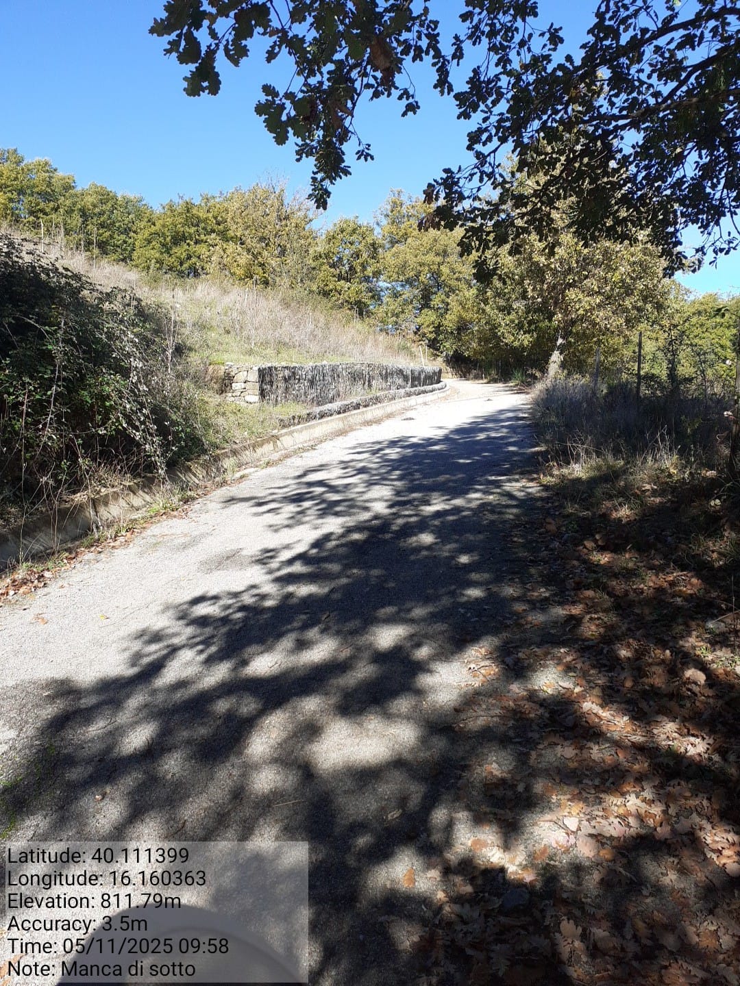 Galleria Fotografica Immagine