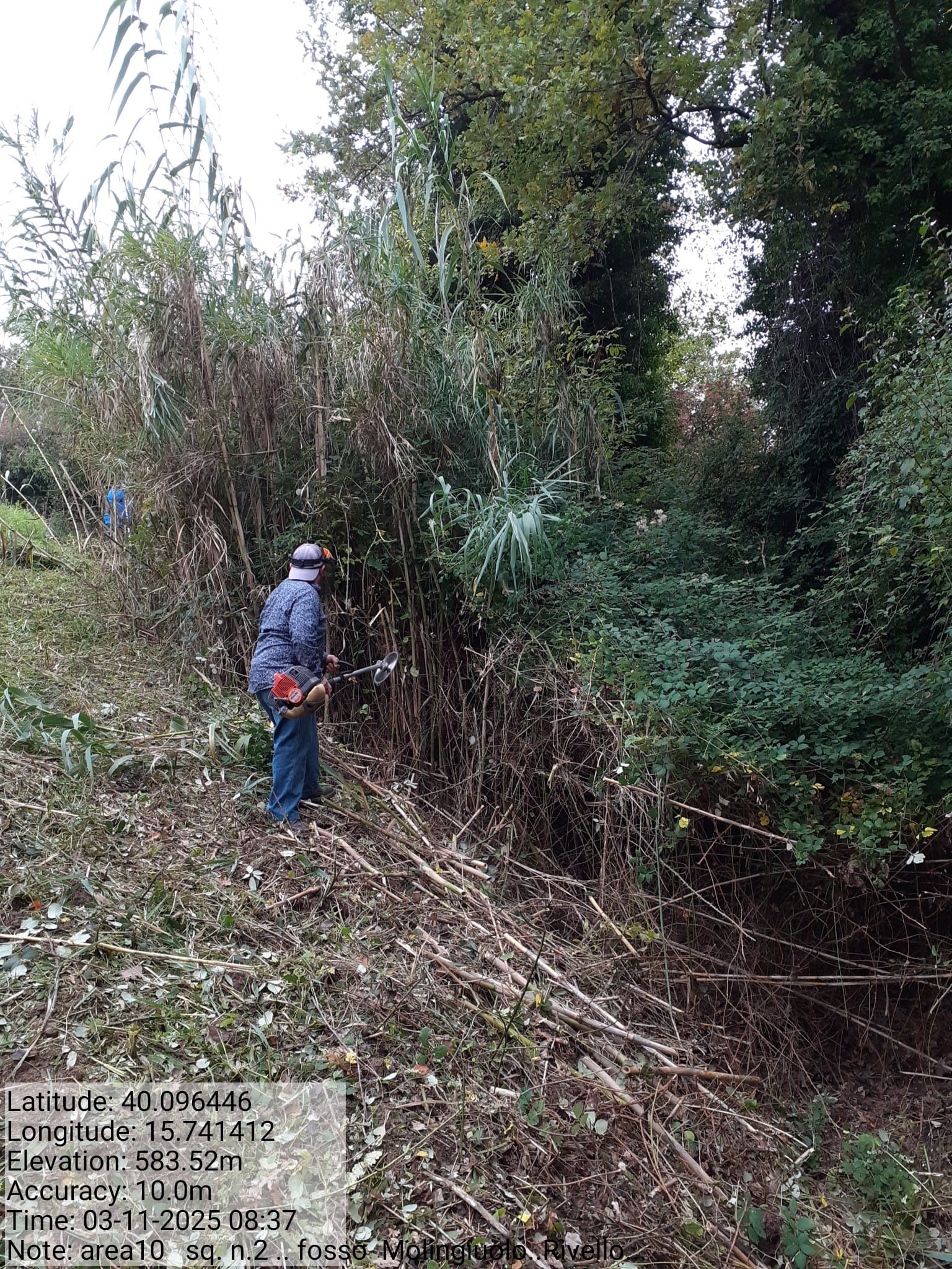 Galleria Fotografica Immagine