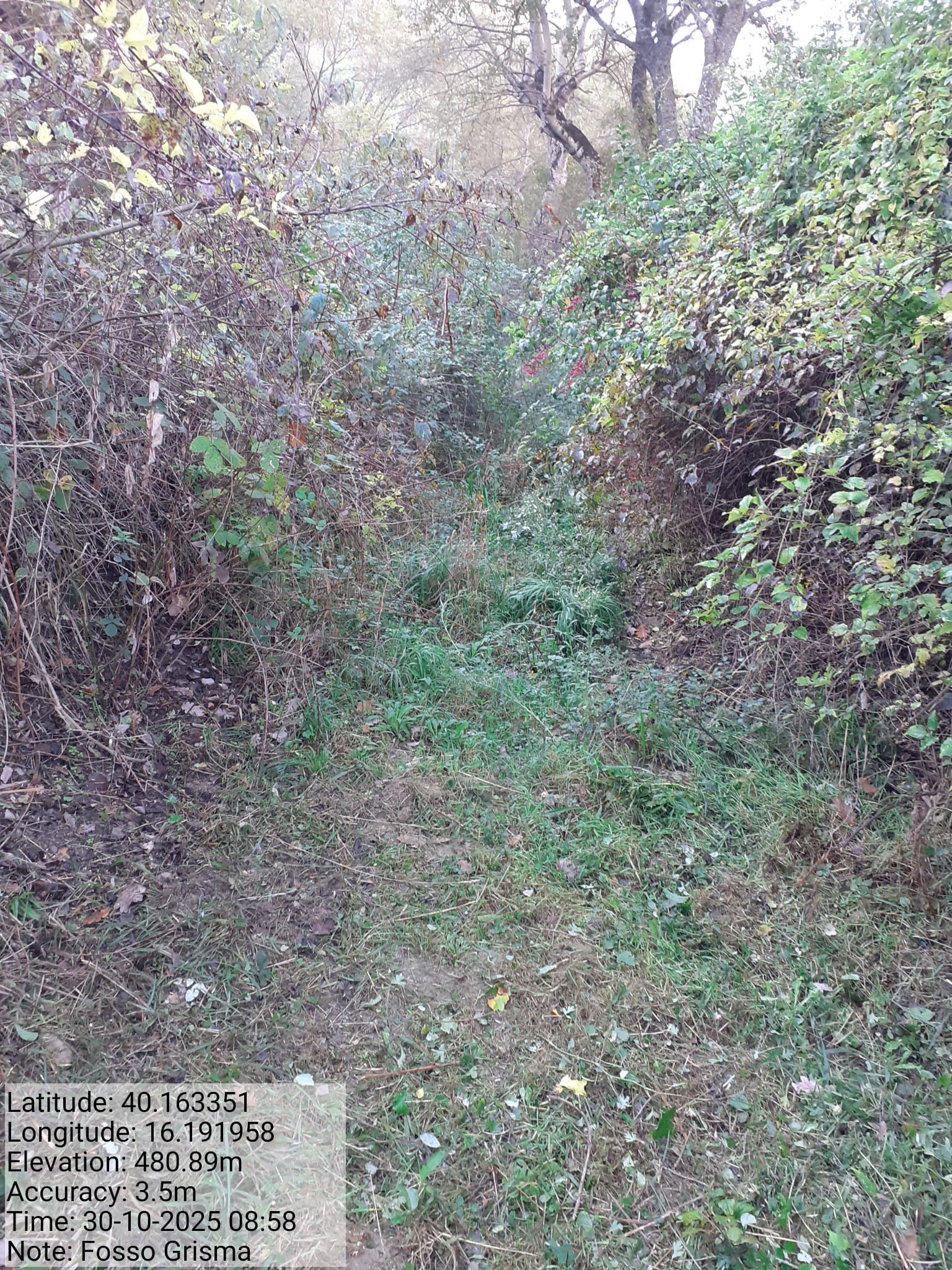 Galleria Fotografica Immagine