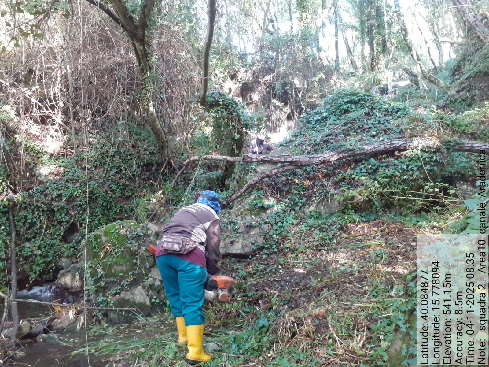 Galleria Fotografica Immagine