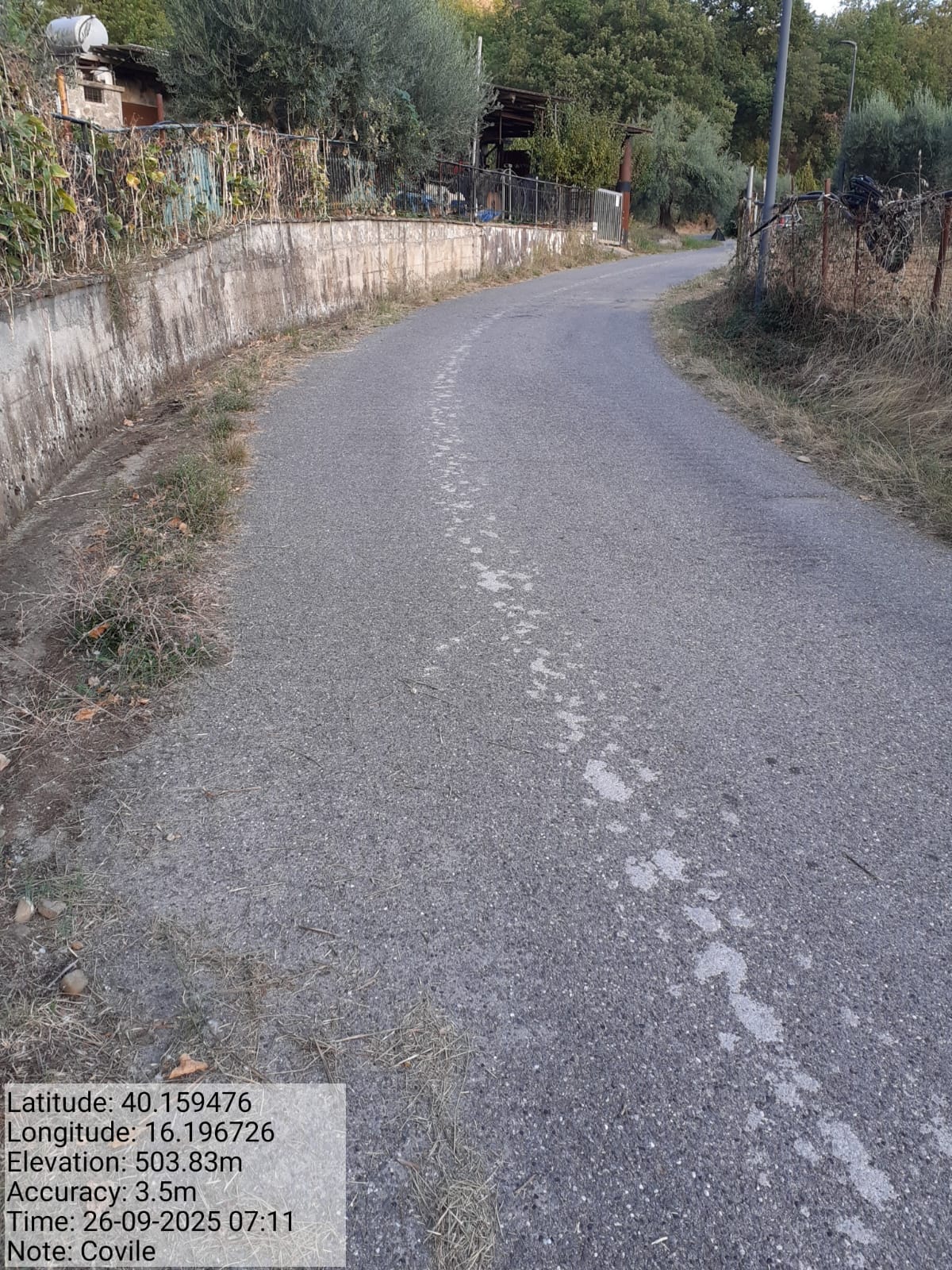 Galleria Fotografica Immagine