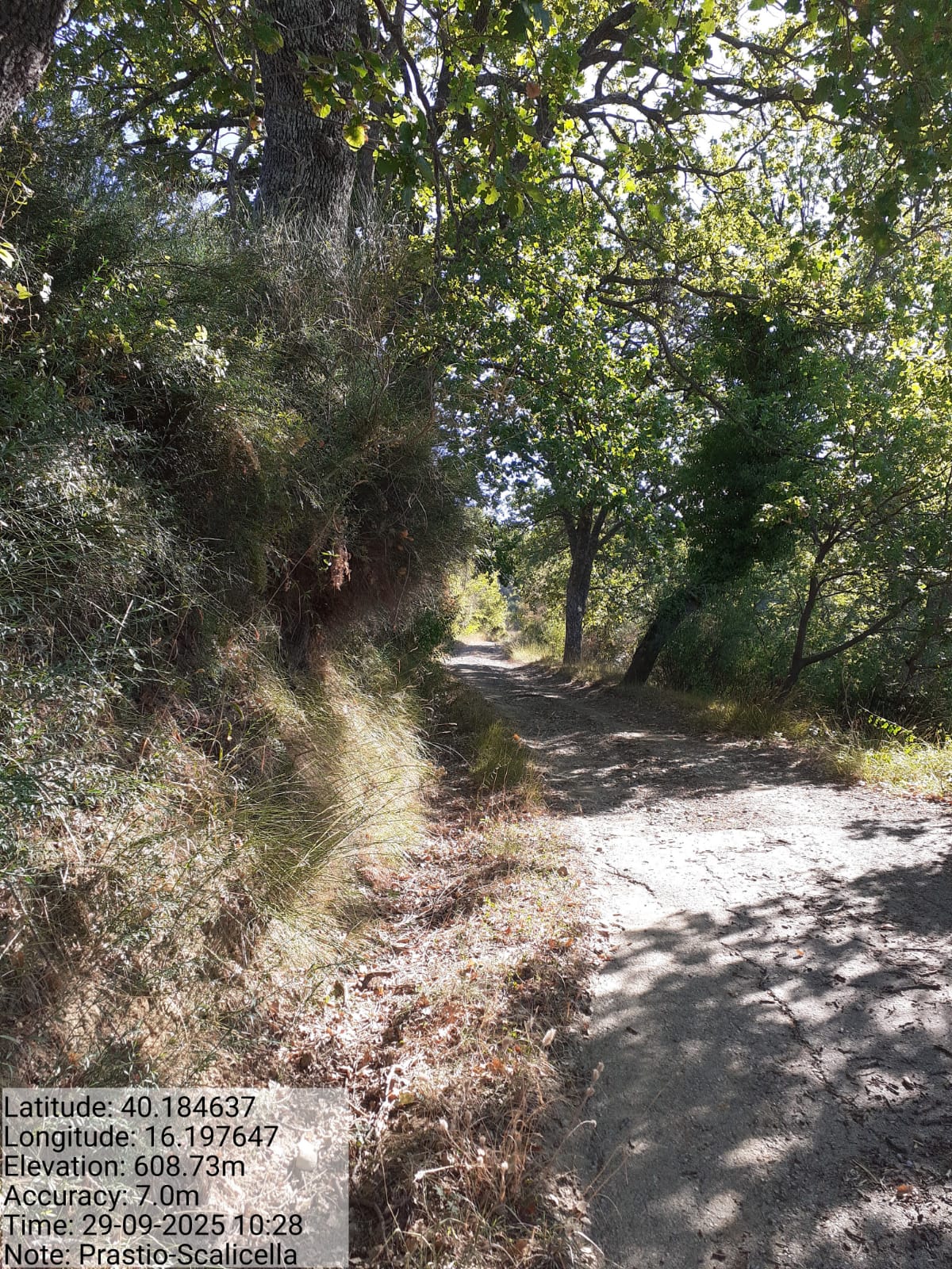 Galleria Fotografica Immagine