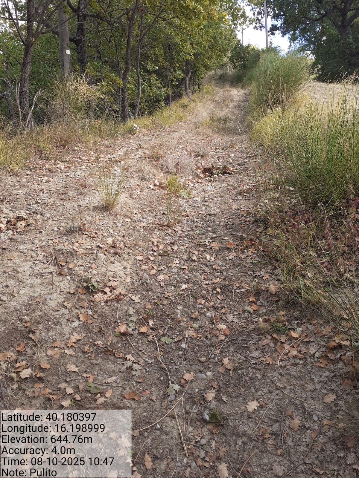 Galleria Fotografica Immagine