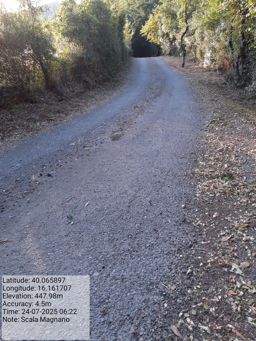 Galleria Fotografica Immagine