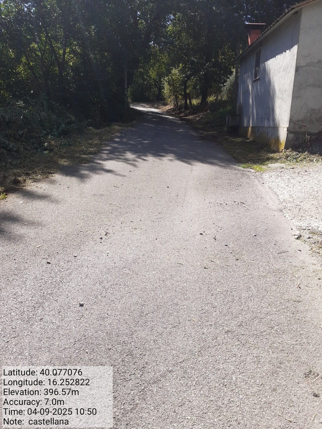 Galleria Fotografica Immagine