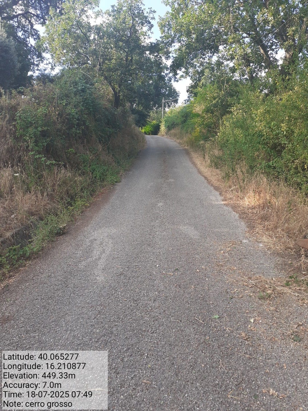 Galleria Fotografica Immagine