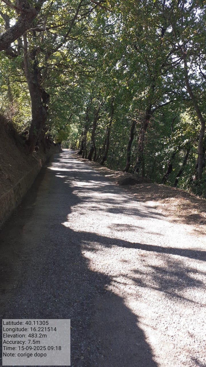 Galleria Fotografica Immagine