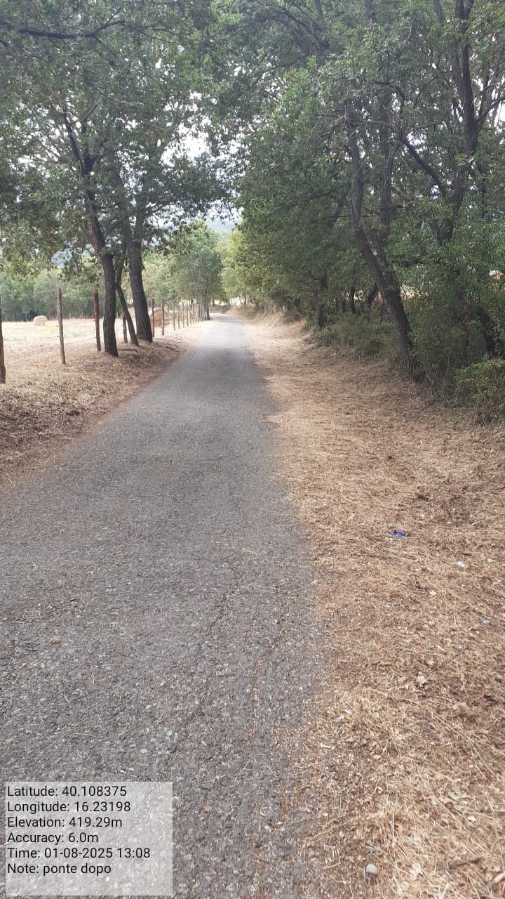 Galleria Fotografica Immagine