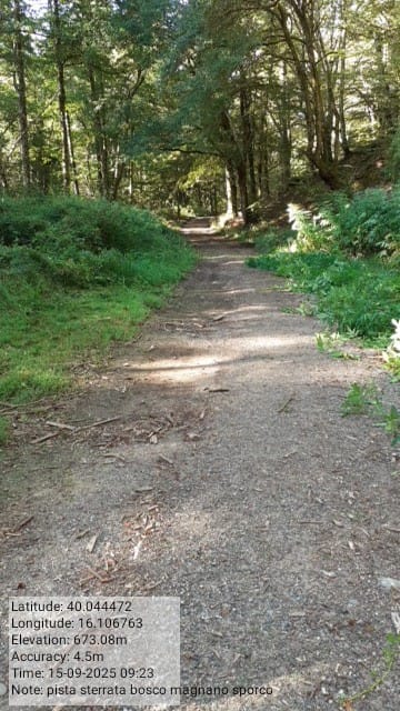 Galleria Fotografica Immagine