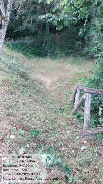 Galleria Fotografica Immagine