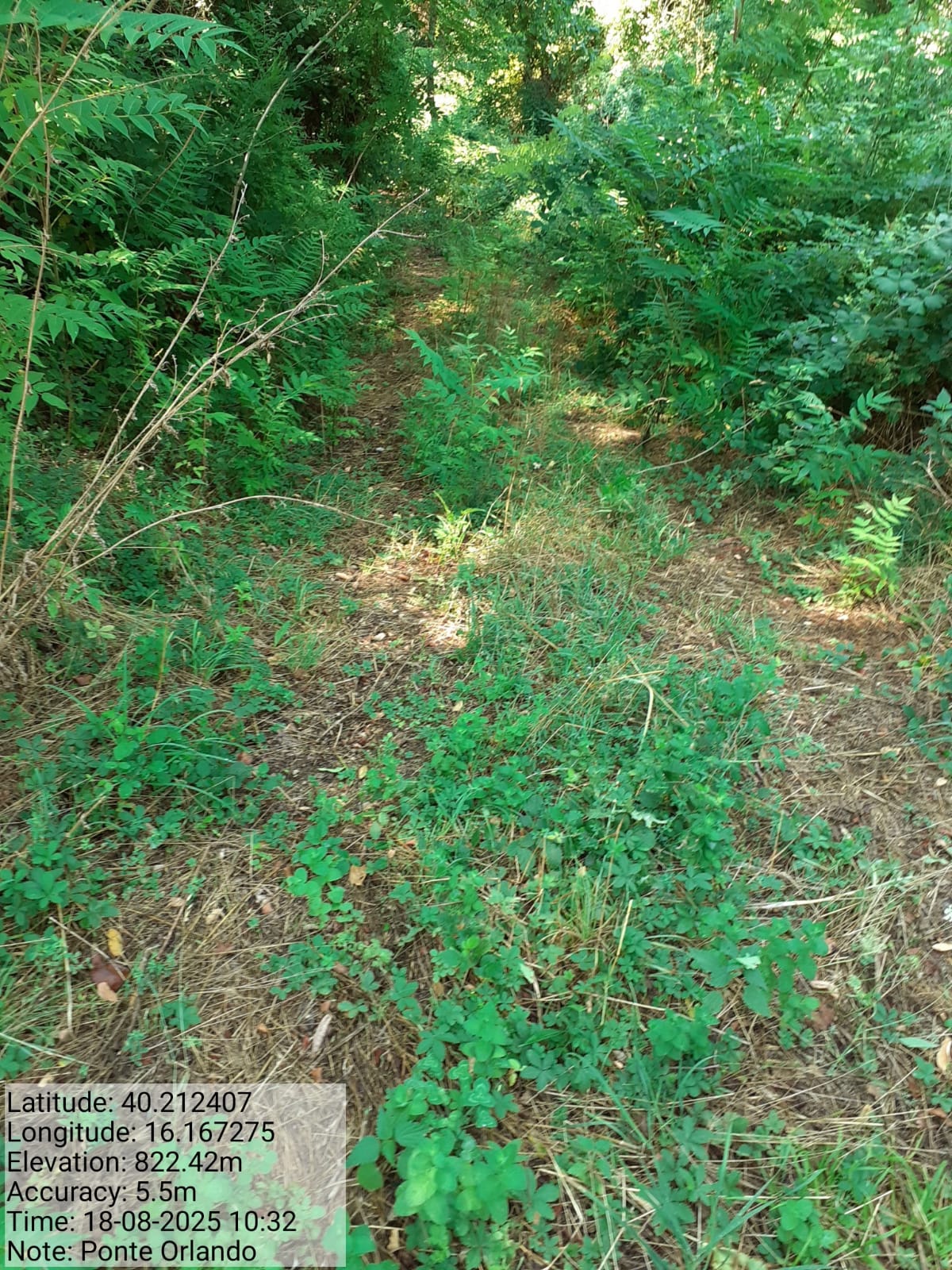 Galleria Fotografica Immagine