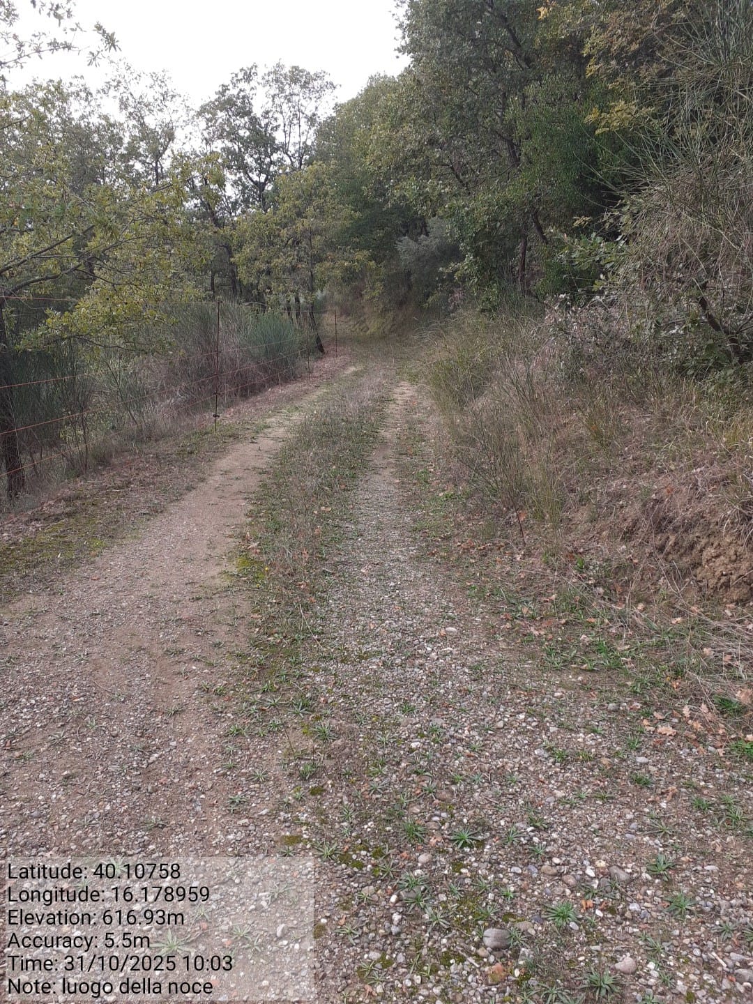 Galleria Fotografica Immagine