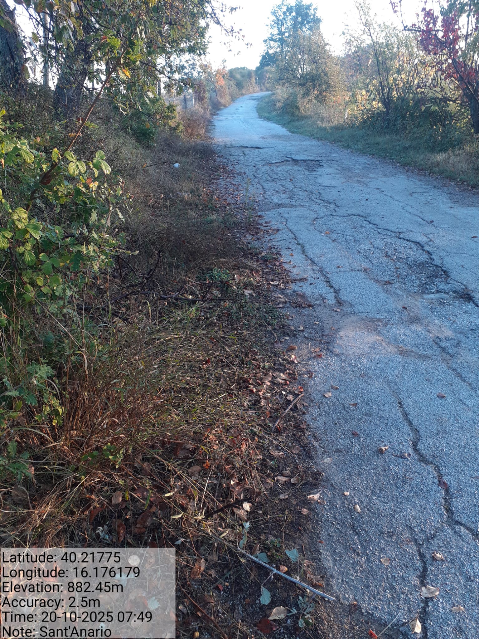 Galleria Fotografica Immagine