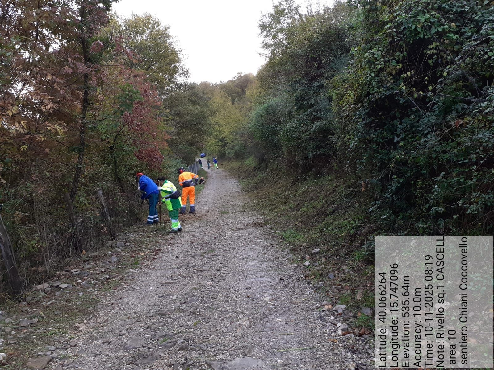 Galleria Fotografica Immagine