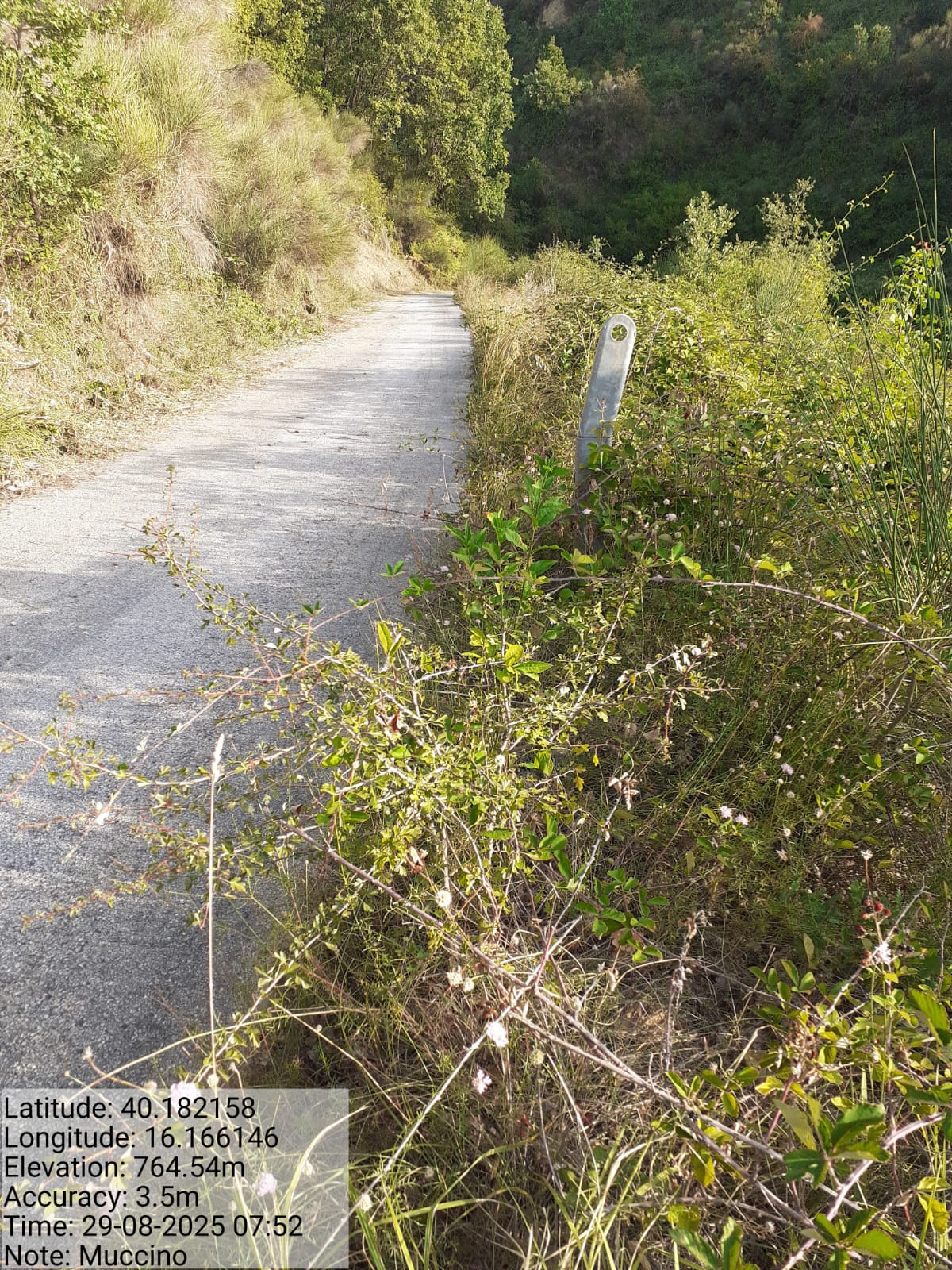 Galleria Fotografica Immagine