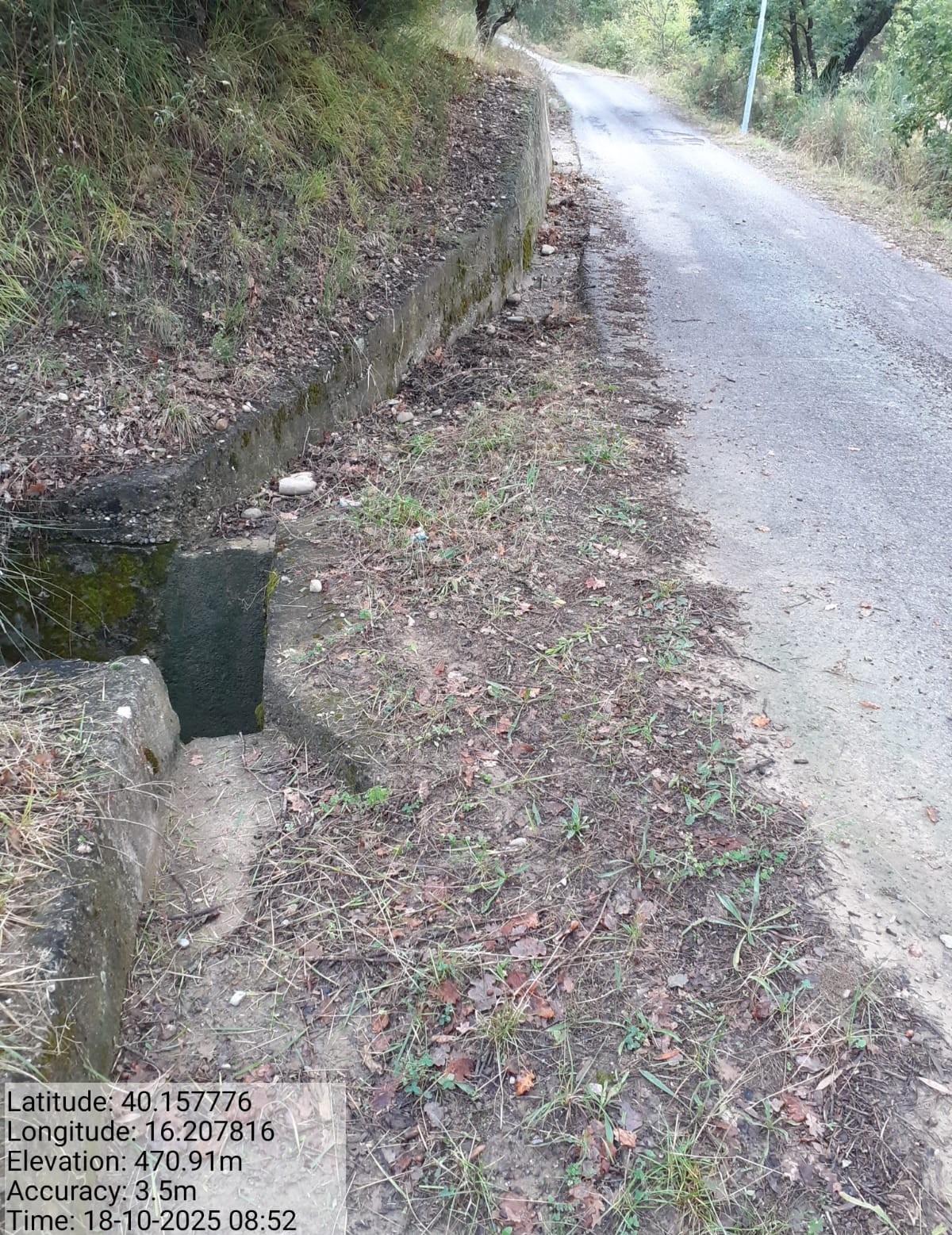 Galleria Fotografica Immagine